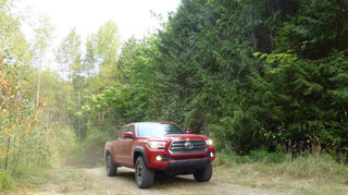 Illustration for article titled The 2016 Toyota Tacoma: A Spicy Taco That Doesn't Taste All That New